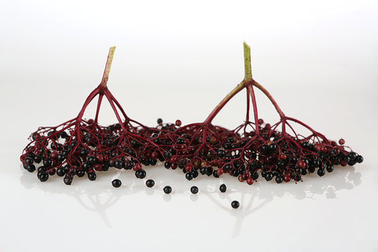 Holunderbeeren