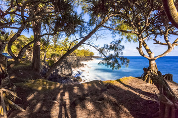 C&ocirc;te Sud Sauvage, &icirc;le de la R&eacute;union 
