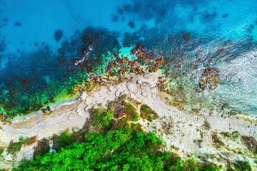 Obraz na płótnie Canvas Aerial view of wild beach