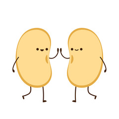 Soybean vector. Soybean character design.