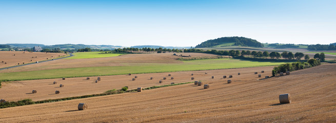 landscape with cornfields and meadows in regional parc de caps et marais d'opale in the north of...