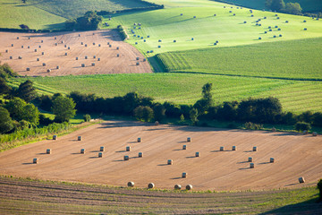 Fototapeta premium french countryside near Calais in parc regional de caps et marais in the north of france