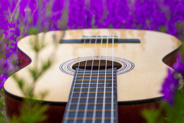 Guitar in flowers