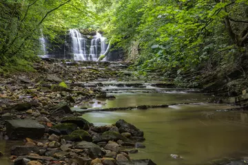Fototapete Hidden waterfall in a deep gorge with trickling white water. Forest of Bowland, Ribble Valley, Lancashire © Matt