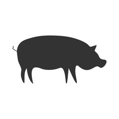 Black pig icon. Farm animal silhouette vector illustration.