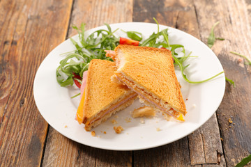 croque monsieur- grilled bread with ham and cheese
