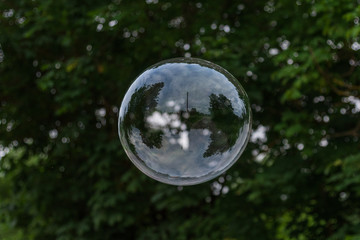 Obraz na płótnie Canvas Soap bubble flies on a background of greenery