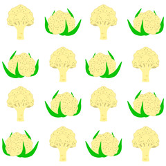 Cauliflower cabbages with and without leaves isolated on white background - seamless pattern