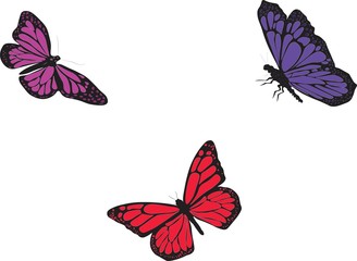 Digital drawing of three bright  butterflies in red, purple and pink color