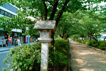 鎌倉の参道