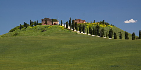Fototapeta na wymiar Landscape at Leonina, Province of Siena, Tuscany, Italy, Europe 
