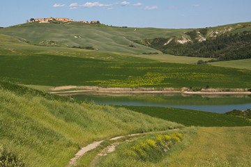 Landscape in Crete senesi Asciano, Province of Siena, Tuscany, Italy, Europe 

