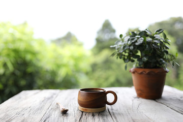 Traditional wooden cup with nerve plant pot 
