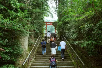 Tuinposter Stone stairs and red Torii gate in Hakone Shrine, Japan　箱根神社の参道と鳥居 © wooooooojpn