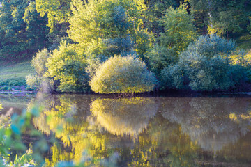 autumn landscape with lake