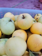 ripe yellow apples