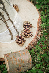 
A leafy chandelier for a rustic banquet ambiance.