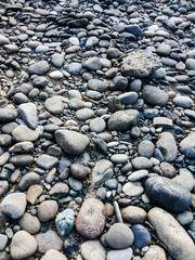 Fototapeta na wymiar small stones and pebbles on the river.