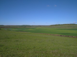 green field and blue sky