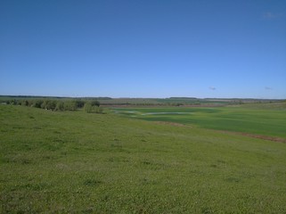 green field and blue sky
