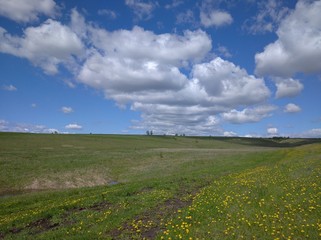 rural landscape with a field and blue sky