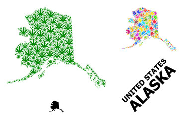 Vector Collage Map of Alaska State of Colored and Green Weed Leaves and Solid Map