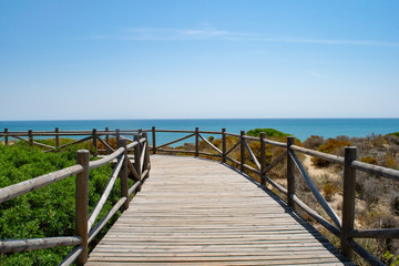 Fototapeta na wymiar wooden walkway on a sand dune