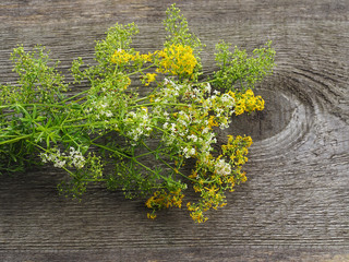 Medical plant galium boreale, with yellow and white flowers on a wooden stand top view. Useful herb bedstraw for use in alternative medicine, cosmetology and food.