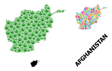 Obraz premium Vector Collage Map of Afghanistan of Psychedelic and Green Marijuana Leaves and Solid Map