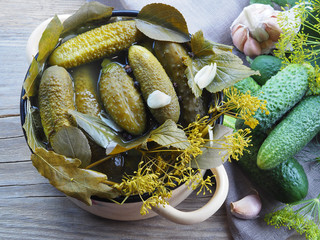 Fresh, salted, pickled cucumbers with herbs, garlic and saline in an enamel pot, close-up, top...