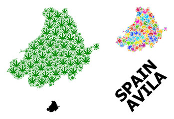 Vector Collage Map of Avila Province of Colorful and Green Cannabis Leaves and Solid Map