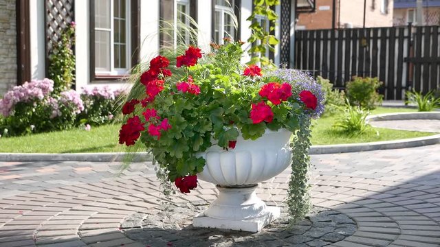 White cachepot in a flower garden with beautiful flowers and decorative plants