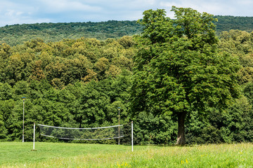 Fototapeta na wymiar Volleyball net in nature. Volleyball court in the woods