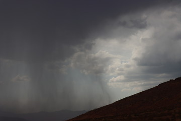 Fototapeta premium Desert rain