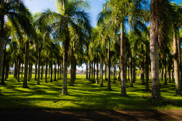 Obraz premium Viajes de ensueño