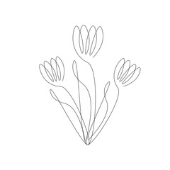 Fototapeta na wymiar Flower background line drawing. Vector illustration