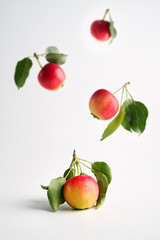 Flying Red and yellow ripe apples with leaves on a light background. Levitation. Vertical orientation. No people