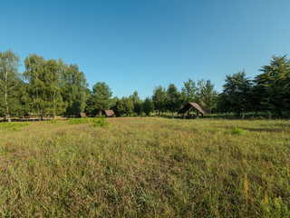 Forest rest clearing © Piotr Janicki