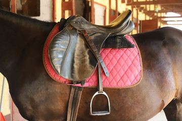 Saddle with stirrups on a back of a horse
