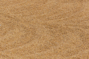 The surrounding of the village Bukit Beta Tuk-tuk on the island of Samosir in Lake Toba, Sumatra, Indonesia.