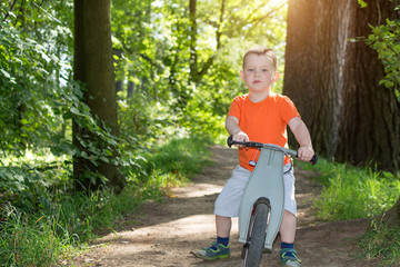 Fototapeta na wymiar a little boy in an orange t-shirt on a Bicycle in a Park,among tall,dense trees.Summer,Sunny day. Horizontal photo.The idea is that the child learns to ride a Bicycle, his face is serious and focused