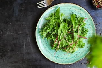 Healthy salad leaves mix salad micro greens, serving portion size
natural juicy snack. food background keto or paleo diet raw