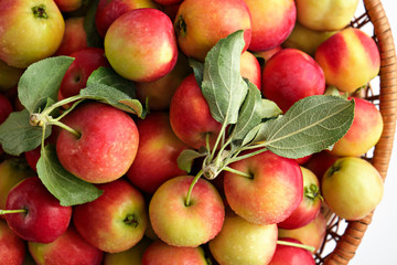 Red and yellow ripe apples with leaves close-up in a wicker basket on a light background. Close up. No people