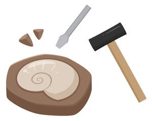 アンモナイトの化石を発掘するイラスト © ふわぷか