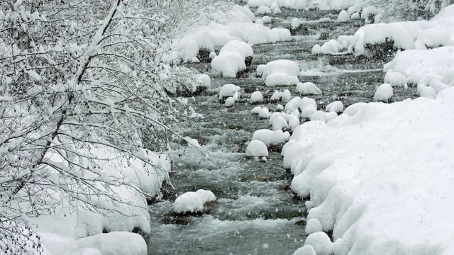 Snow coming down on winter creek 