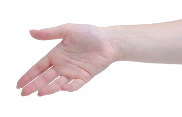 Fototapeta na wymiar Woman hand nature holding on white background isolation