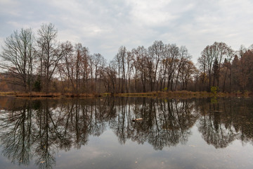 Fototapeta na wymiar Barsky pond near Serednikovo manor in the suburbs Moscow, sad autumn landscape