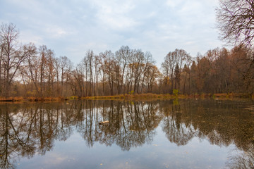 Obraz premium Barsky pond near Serednikovo manor in the suburbs Moscow, sad autumn landscape