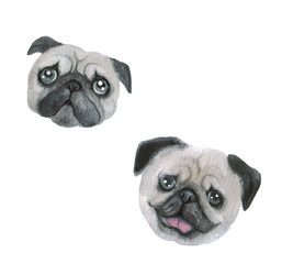 Watercolor cute pug on the white background.  Dog funny illustration.  Animal watercolor silhouette sketch. Hand draw art illustration. Graphic for fabric,tee-shirt, postcard, greeting card, sticker.