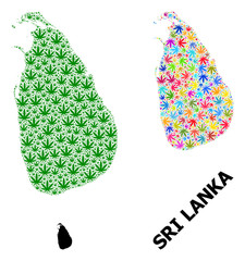 Vector Collage Map of Sri Lanka of Bright and Green Weed Leaves and Solid Map